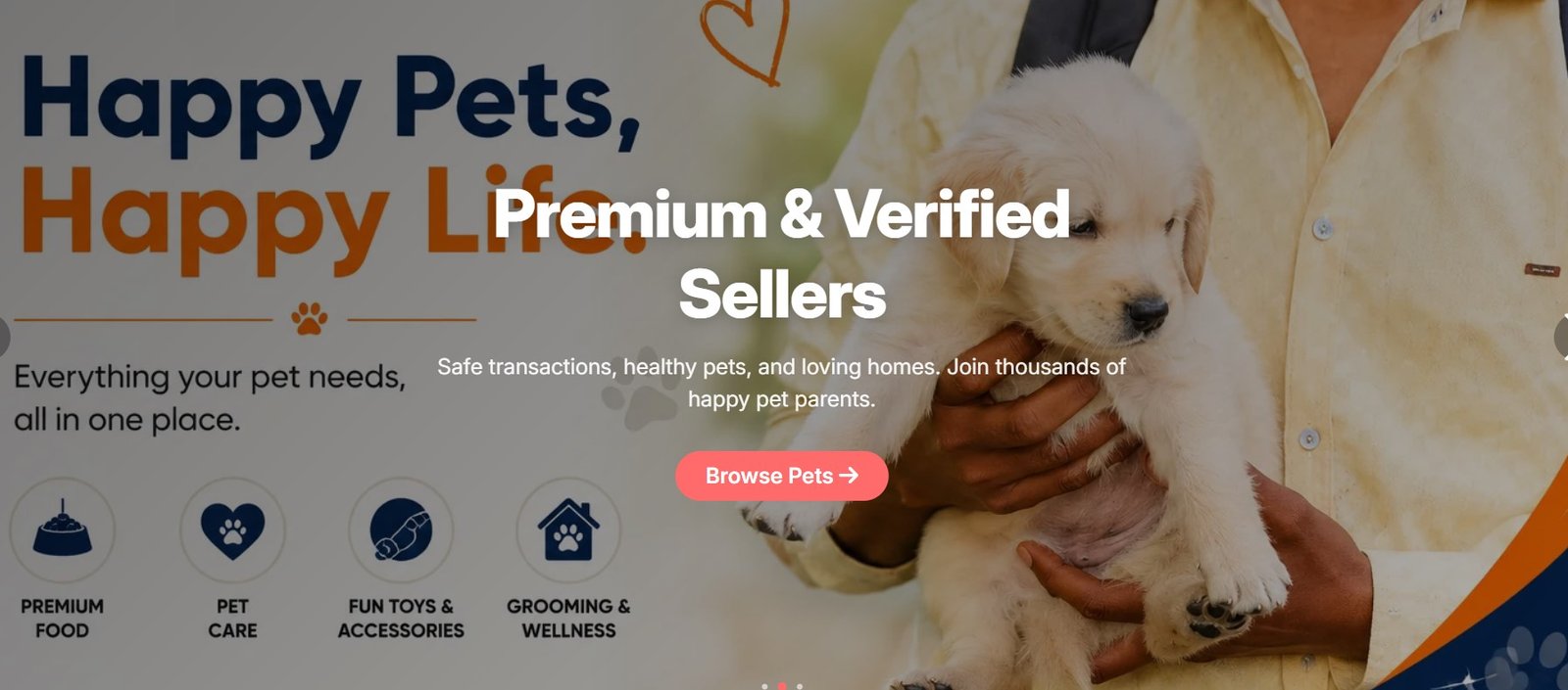Business Website